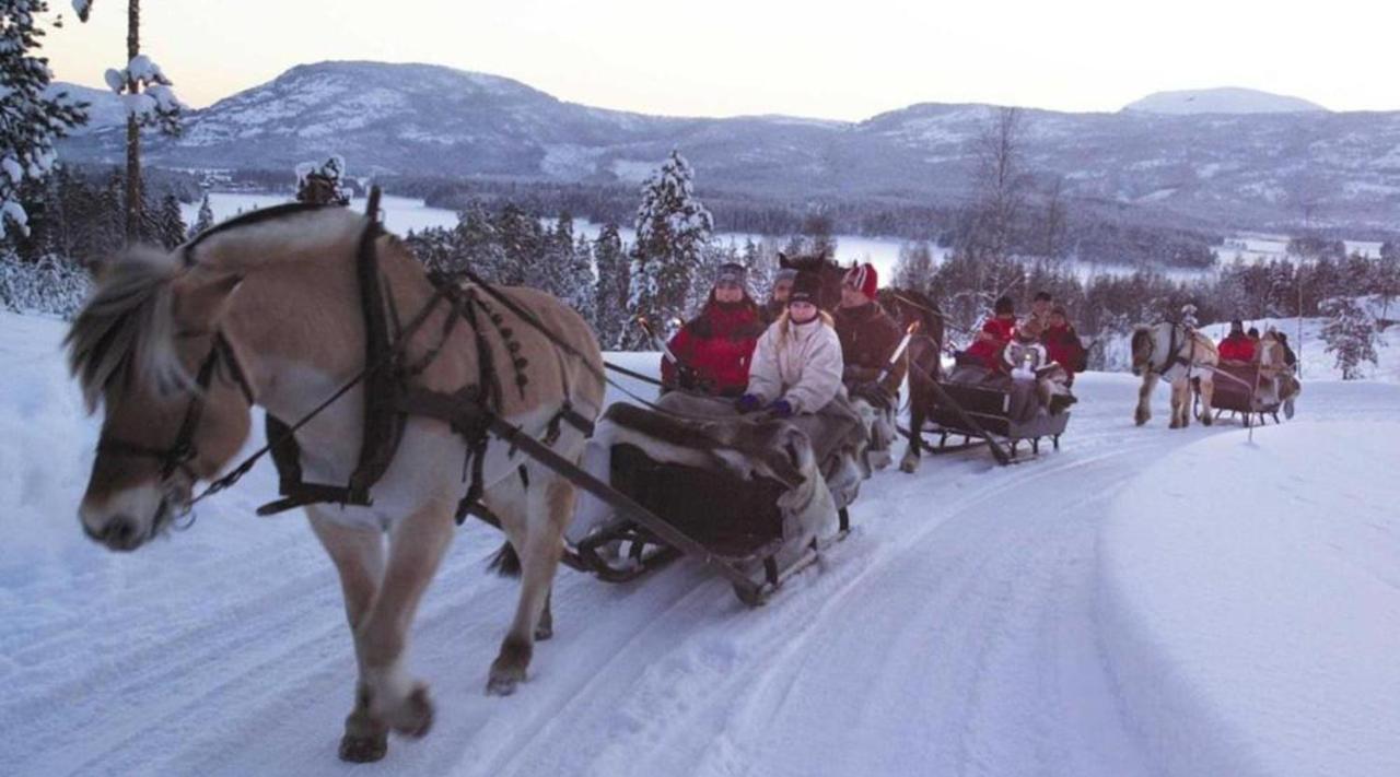 Hytte Naer Vannet, Jacuzzi Og Sauna Врадал Экстерьер фото